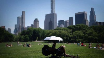 Deadly heatwave kills at least 29 across US during 250th Independence Day weekend