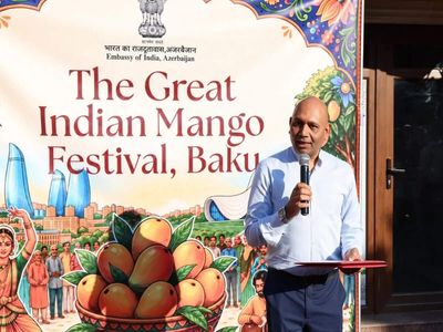 Indian Embassy in Azerbaijan organises first-ever 'Great Indian Mango Festival' in Baku
