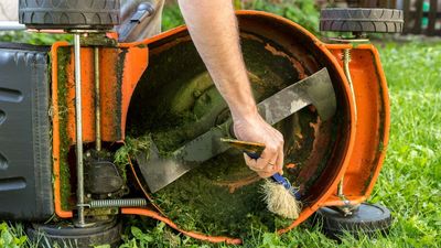 Don't forget this crucial task before cutting your lawn — and protect your mower blades this summer