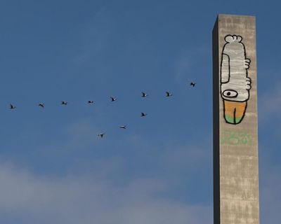 ‘Pam the Bird’ has become a divisive fixture on Melbourne landmarks – but is it art or vandalism?