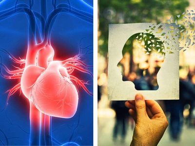 Heart's pumping strength tied to future memory loss: Study finds heart function drop could reveal Alzheimer's disease; memory decline may follow