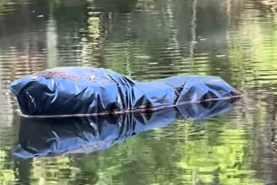 Park Visit Turns Into a Police Call: TikTok Stunned After Florida Resident Spots Floating 'Body Bag'