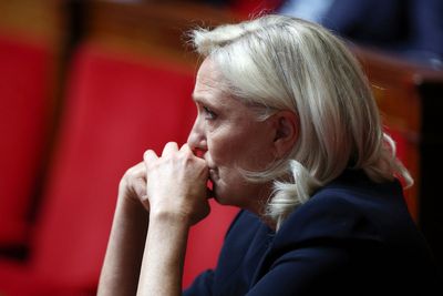 Marine Le Pen court case explained as politician fights for French presidential bid