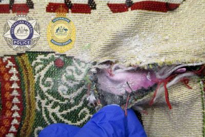 ‘All suspects identified’ in flight crew heroin smuggling case