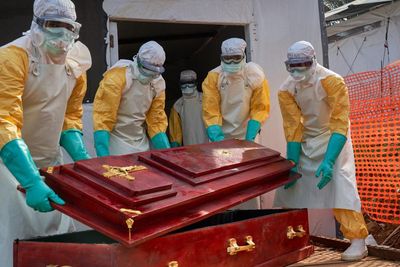 What will define Elon Musk’s legacy? Doge cuts to USAID Ebola programs