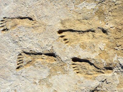 23,000-year-old footprints found in New Mexico reveal when first humans came to America: Early settlers arrived during Ice age; evidence rewrites America's origin story