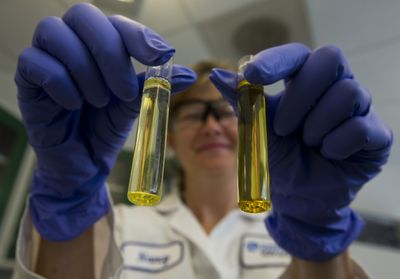 Fish Oil Supplements Do Not Improve Memory or Brain Health, a Two-Year Study Found