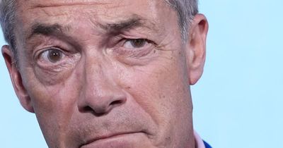 Nigel Farage resignation as MP panned as 'cynical political stunt'
