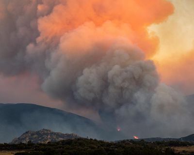 Record wildfires in Europe show failure to adapt carries a mounting cost