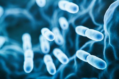 Likely source of Legionnaires’ disease outbreak in New York identified as visitors are urged to watch for symptoms