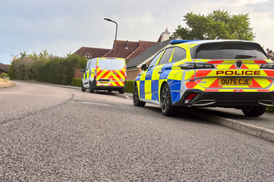 Murder probe after mother and her two children found dead at home