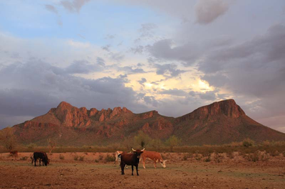 Travel Beyond Luxury: Russell True on Why Authentic Experiences Are Redefining Modern-Day Travel