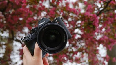 The Sony A7 V is no longer king as 66.8MP monster jumps to the top of sales charts in the US, followed by the unstoppable viral Kodak Charmera