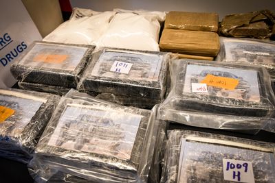K-9 Sniffs Out 345 Pounds of Cocaine Hidden in Elderly Bay City Couple's Trailer at Texas Checkpoint