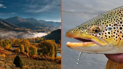 Woman fishing in Idaho snags line on something huge. Then she pulled something up that set a new state record