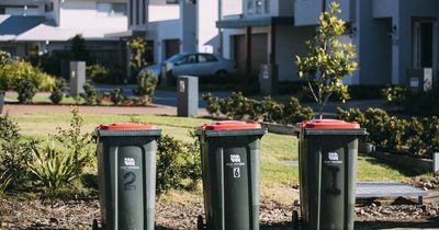 Is your bin full? Council seeks feedback on waste collection