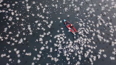 After winning 800+ international awards, this drone photographer claims another major photography prize – "I am committed to ethical practices that preserve the integrity of the photograph," he says