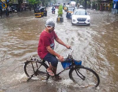 Mumbai Weather Today: IMD warns of heavy rain, strong winds; local trains running normally as BMC debunks viral holiday rumour