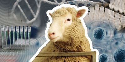 30 years since Dolly the sheep was born, where is cloning technology at now?