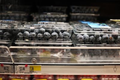 Publix Recalls GreenWise Organic Frozen Blueberries in 8 States: Check Whether Your Bag Is Affected