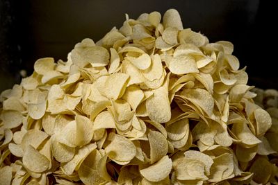Zapp's and Dirty Brand Chips Just Received the FDA's Highest Possible Recall Level Over Possible Salmonella Contamination