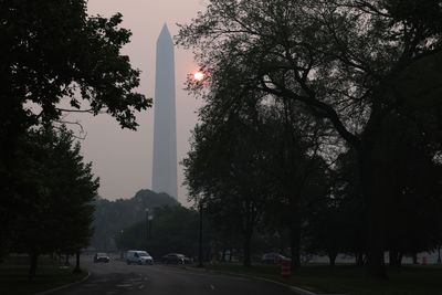 Washington, D.C., Was Just Hit with a Purple Air Quality Alert, the Second-Highest Level on the Air Quality Index