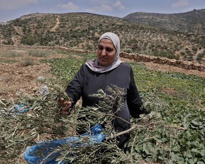Palestinians brace as Israeli settler figures in coalition seek to cement West Bank gains before election