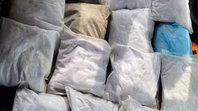 'Were to be paid $5,000-$10,000': Texas couple, 80 and 74, arrested after 345-pound cocaine bust at border