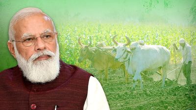 4 years on, MSP committee has no report to show, but Rs 53 lakh spent