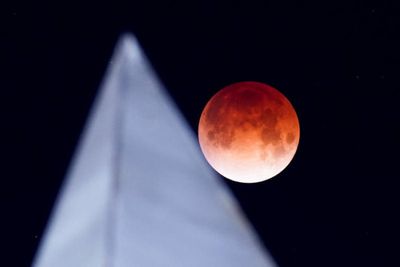 With SpaceX Starship, Japan's ispace provides ride-share to the moon