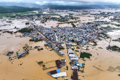Hundreds of snakes escape after floodwaters inundate breeding farm in China