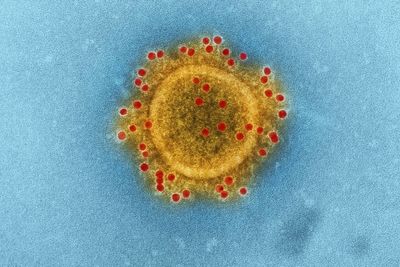 Congo's Ebola Crisis Deepens as WHO Says Outbreak Remains in Expansion Phase