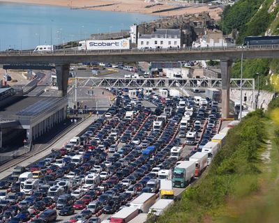 Port of Dover faces ‘utter chaos’ under struggling EU entry system, MPs say
