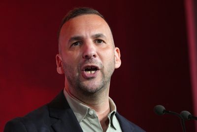 Green Party facing split over key element of defence policy