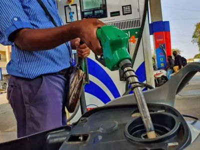 Insects in your fuel tank? ISMA responds to claims of E20-led car damage & sugarcane mixing claims