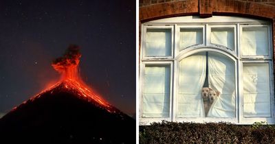 39 Stunning Images That Earned Top Honors At The 2026 iPhone Photography Awards