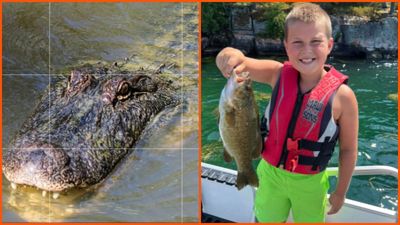 8ft long alligator in Florida clamps down on 11yo boy’s arm. Then his father jumps in to pry open its mouth, but it only makes it worse