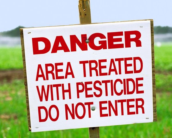 US Food and Drug Administration rejects petition to set Pfas limits in food