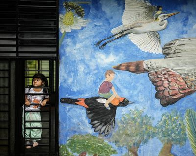 ‘We won’t give up, we’ll keep fighting’: activists in Colombia vow to resist far-right push for fossil fuels