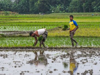 Marathwada reports 465 farmer suicides in first half of 2026
