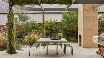 7 Lucky Garden Plants That Will Make Your Outdoor Space Feel Rich in Good Fortune