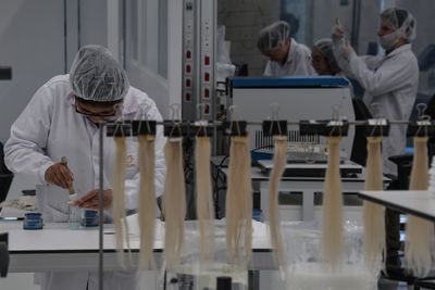 The Bacteria Behind the Latest Shampoo Recall Can Survive Products Designed to Kill Germs