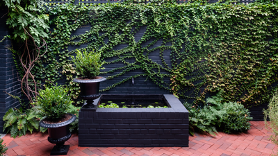 This Expandable Trellis Fence Is a Clever and Inexpensive Way to Screen Your Garden in Style, No Matter Its Size