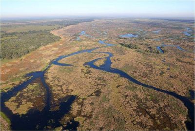 Florida spent nearly 40 years undoing a major flood-control project, filling canals and restoring 43 miles of Kissimmee River bends after wetlands were damaged; by 2021, over 26,000 acres returned