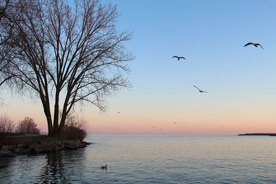 Ontario lakes have been turning browner for 60 years, and scientists say the clearest water is disappearing fastest in the province’s poorest lakes