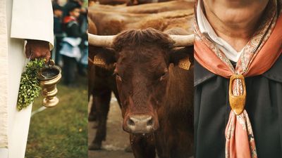 In a rural French town, they cherish cows in an annual festival – and this photographer documented it beautifully