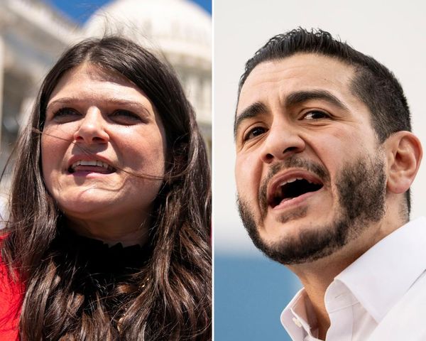 Washington sees this Senate race as a key test for Democrats. Michigan voters just want to get by