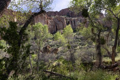 Arizona man pleads guilty after illegally living in forest for years among ‘1,000lbs of trash’