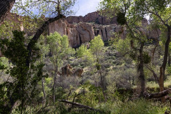 Arizona man pleads guilty after illegally living in forest for years among ‘1,000lbs of trash’