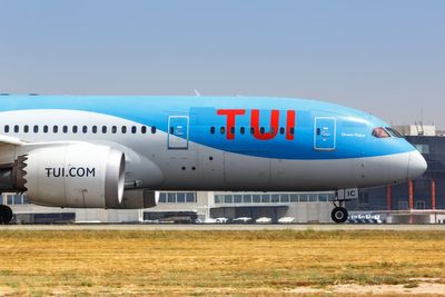 Stowaway snake discovered on Tui flight to London